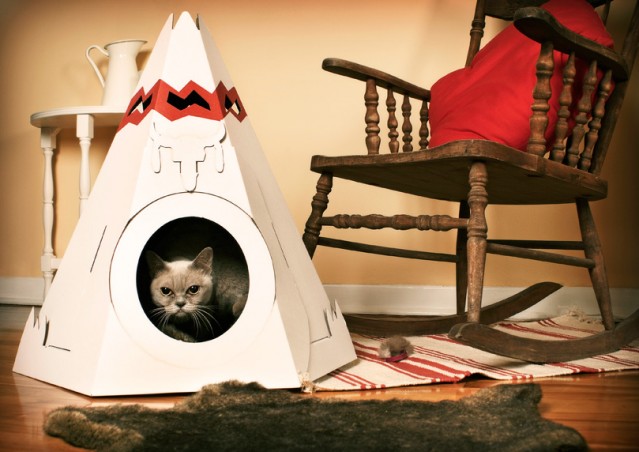 Che Teepee questi gatti!