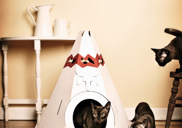 Che Teepee questi gatti!