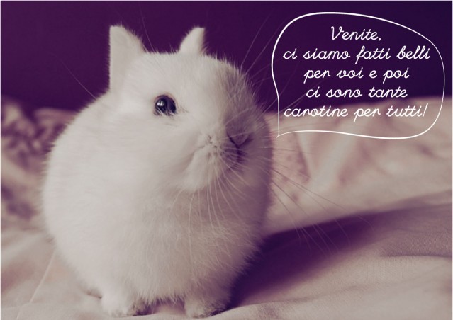 Tirate su le orecchie!