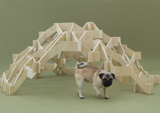 Architetti, a cuccia!