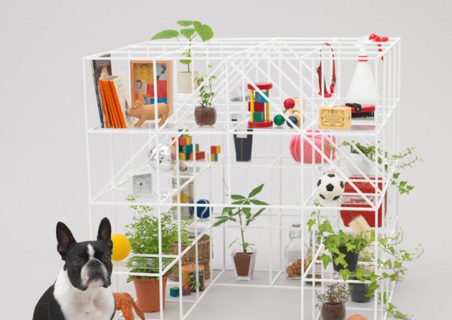 Architetti, a cuccia!