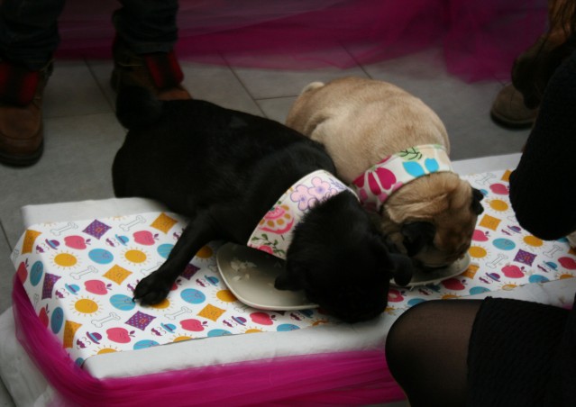SUPER BEST FRIENDS!