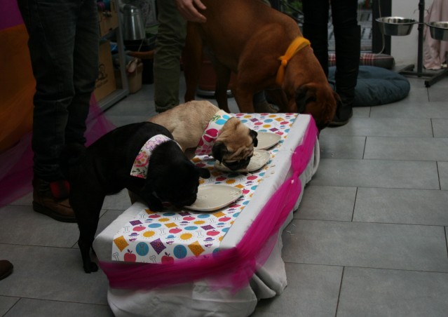 SUPER BEST FRIENDS!