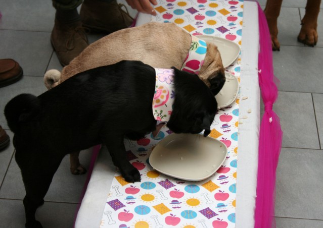SUPER BEST FRIENDS!