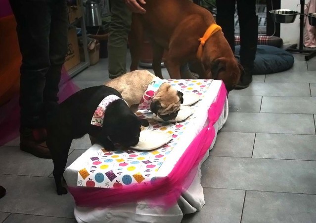 SUPER BEST FRIENDS!