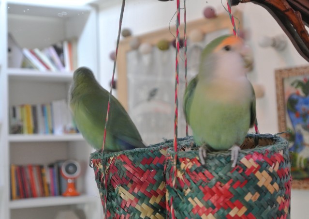 Siamo Inseparabili!