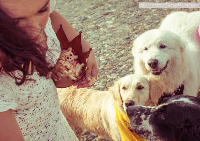 DOG SAVE THE QUEEN!!!