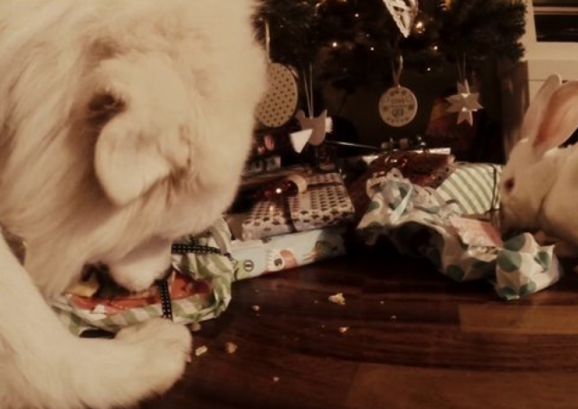 BUON NATALE A TUTTI!!!