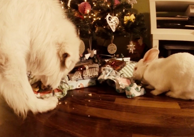 BUON NATALE A TUTTI!!!