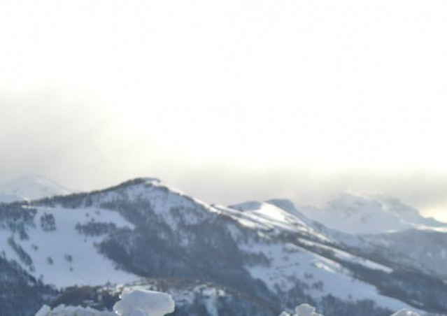 FAI IL FAGOTTINO E VAI!!! 10° Alaskan Malamute Sleddog Day