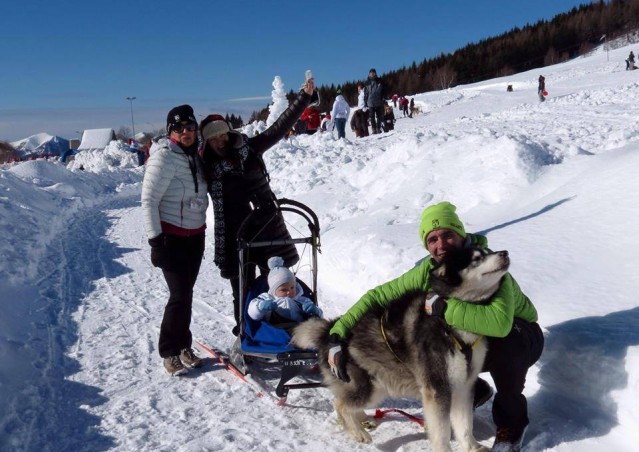 FAI IL FAGOTTINO E VAI!!! 10° Alaskan Malamute Sleddog Day