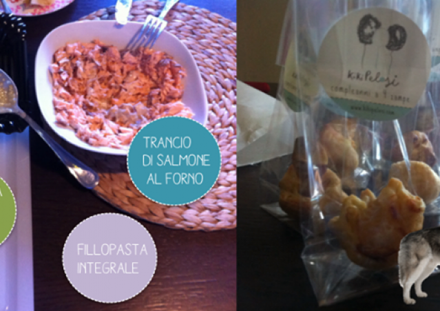 FAI IL FAGOTTINO E VAI!!! 10° Alaskan Malamute Sleddog Day