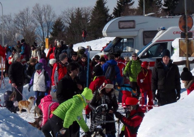 FAI IL FAGOTTINO E VAI!!! 10° Alaskan Malamute Sleddog Day
