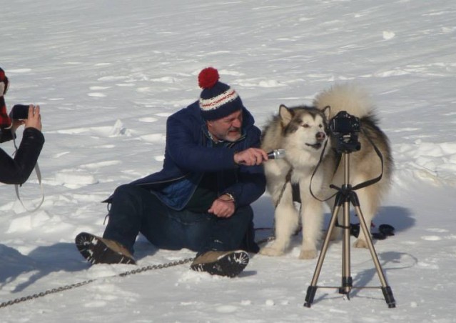 FAI IL FAGOTTINO E VAI!!! 10° Alaskan Malamute Sleddog Day