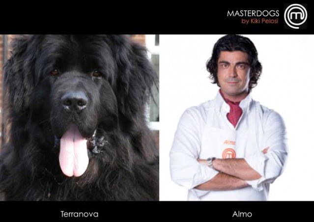 Un’intervista da Master… Pet Chef!