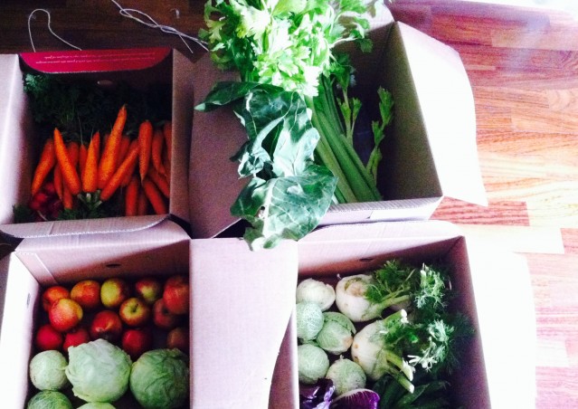 Bunny Salad Bar®, il primo take away per conigli è arrivato!