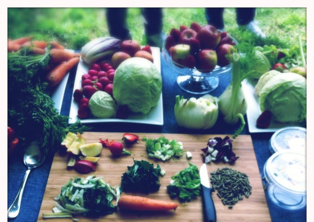 Bunny Salad Bar®, il primo take away per conigli è arrivato!