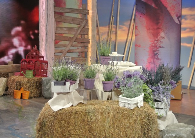 Una festa country french su RAI 2