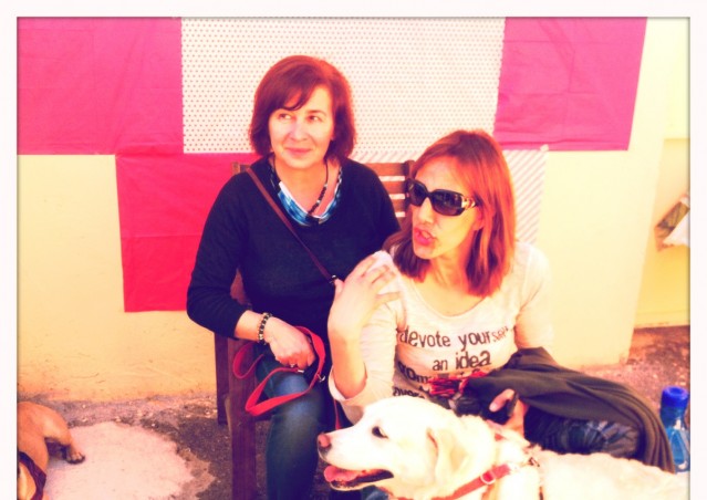 Buon compleanno HAPPY BAU!