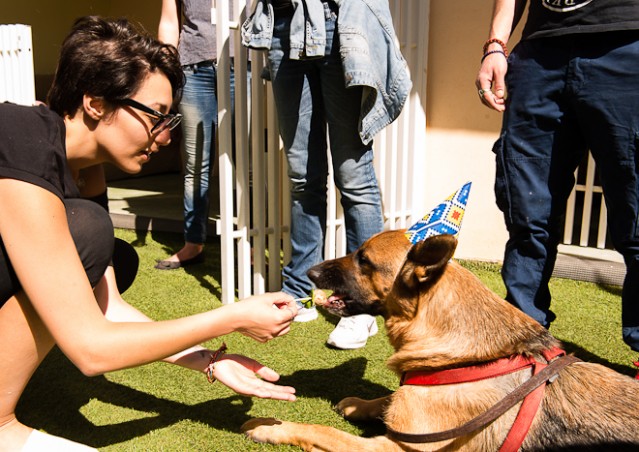Buon compleanno HAPPY BAU!