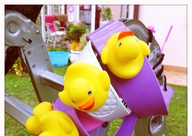 REGINALDO, UN PAPERO CHE SA FARE FESTA!
