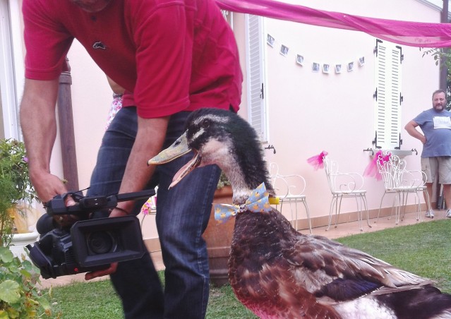 REGINALDO, UN PAPERO CHE SA FARE FESTA!