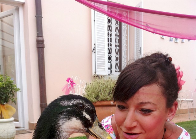 REGINALDO, UN PAPERO CHE SA FARE FESTA!