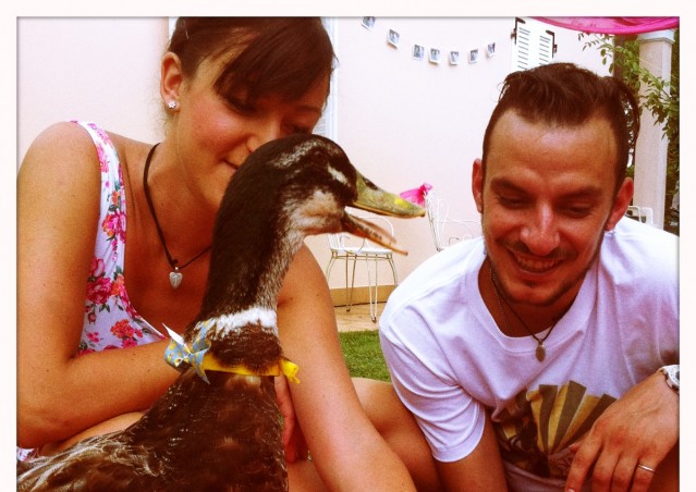 REGINALDO, UN PAPERO CHE SA FARE FESTA!