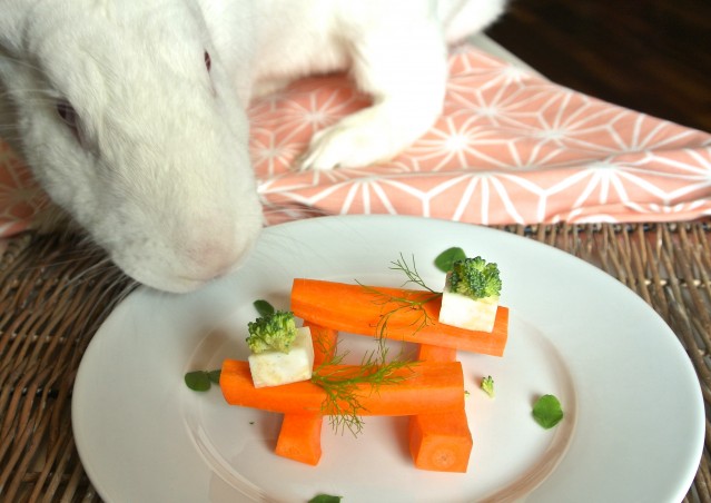 Ricetta per conigli “GIOCHI A TRIS?”