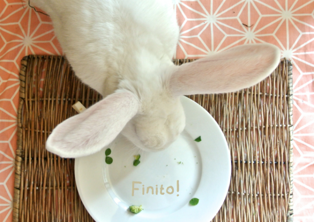 Ricetta per conigli “GIOCHI A TRIS?”