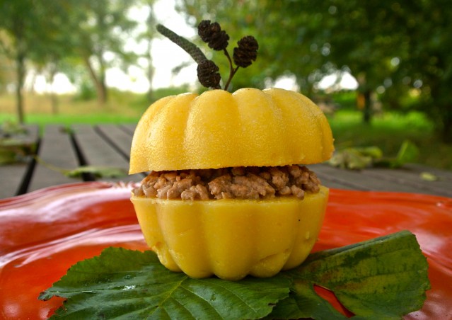 ZUCCA BURGER & MOSTRONE POLENTONE – Ricette di halloween per cani!