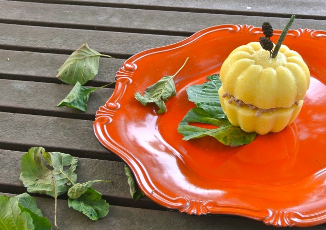ZUCCA BURGER & MOSTRONE POLENTONE – Ricette di halloween per cani!