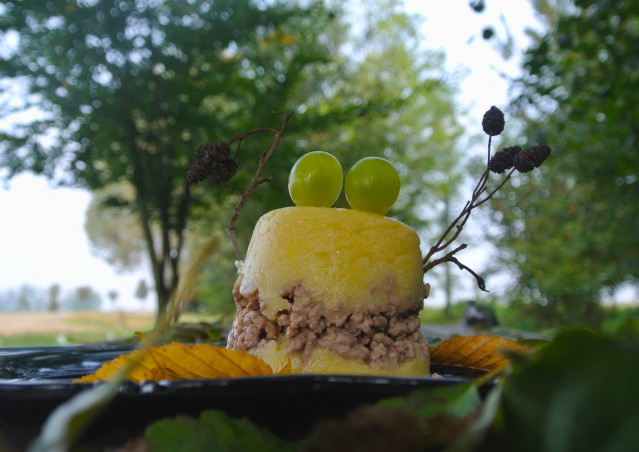 ZUCCA BURGER & MOSTRONE POLENTONE – Ricette di halloween per cani!