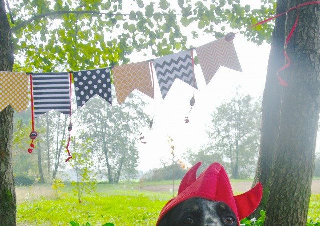 ZUCCA BURGER & MOSTRONE POLENTONE – Ricette di halloween per cani!