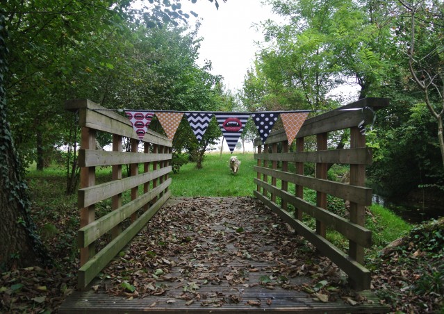 ZUCCA BURGER & MOSTRONE POLENTONE – Ricette di halloween per cani!