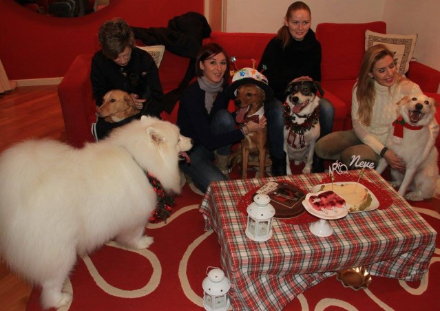 Buon compleanno Neve e Ares!