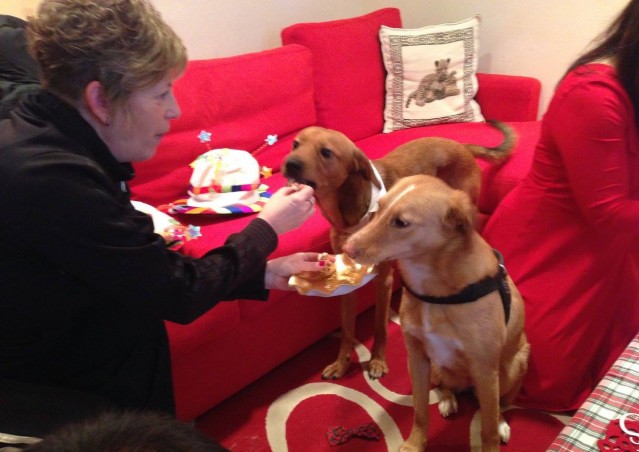 Buon compleanno Neve e Ares!