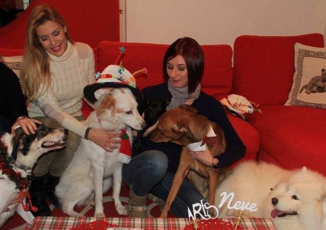 Buon compleanno Neve e Ares!