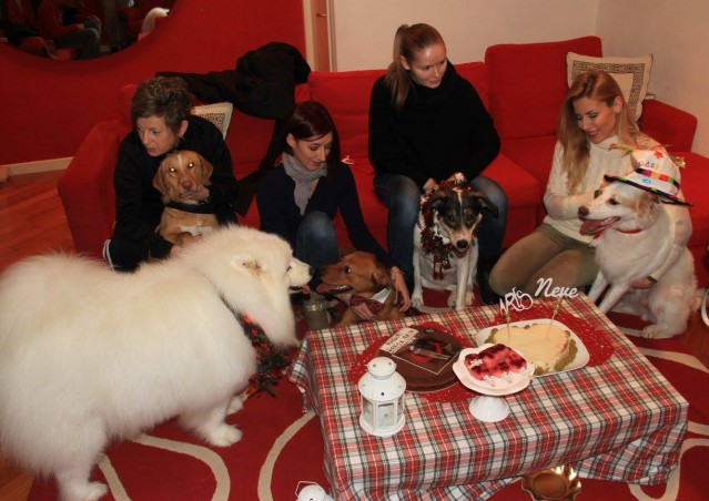 Buon compleanno Neve e Ares!