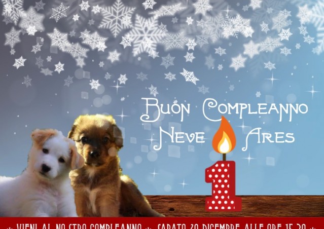 Buon compleanno Neve e Ares!