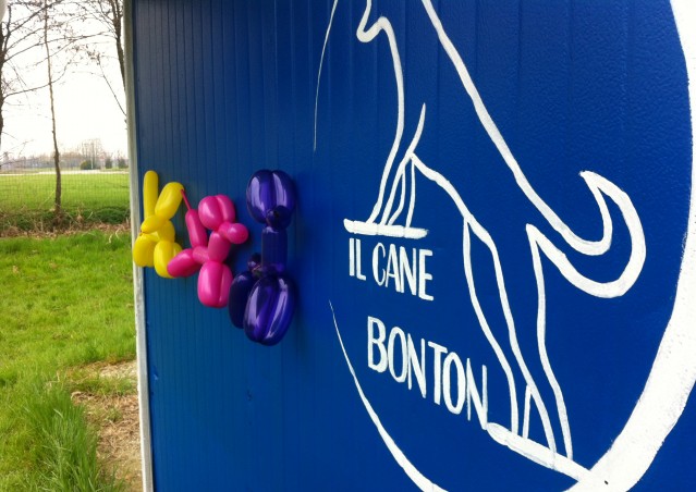 Primavera Bau Bau- festa in collaborazione con “Il Cane Bon Ton”