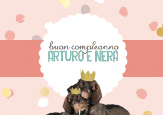 Buon Compleanno Arturo e Nera!  Benvenuto esercito di bassotti!