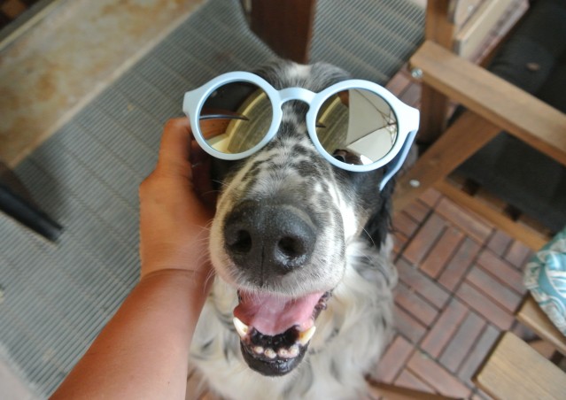 RAINBOW ONIGIRI- ricetta post viaggio