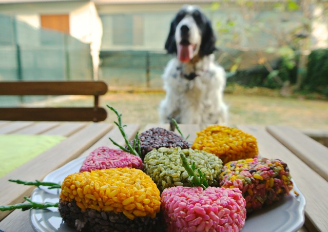 RAINBOW ONIGIRI- ricetta post viaggio