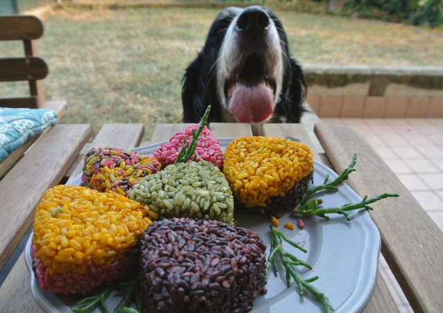 RAINBOW ONIGIRI- ricetta post viaggio