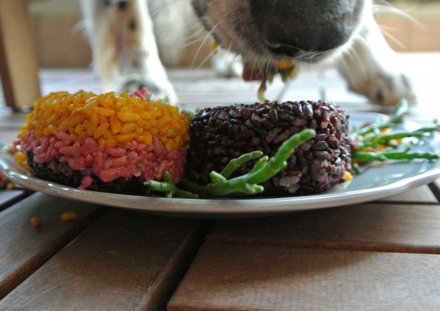 RAINBOW ONIGIRI- ricetta post viaggio