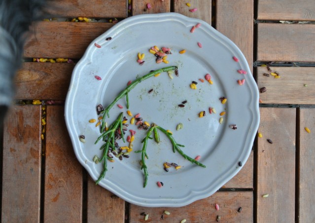 RAINBOW ONIGIRI- ricetta post viaggio