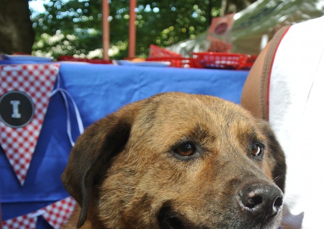 FAST GOOD…FAST HAPPINESS!