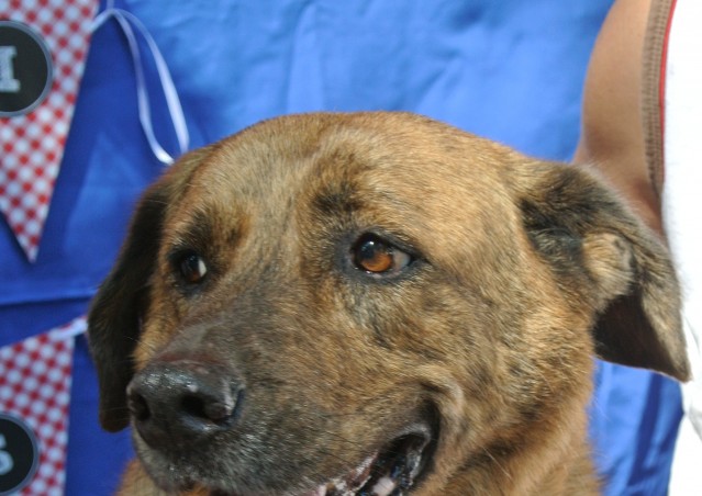 FAST GOOD…FAST HAPPINESS!