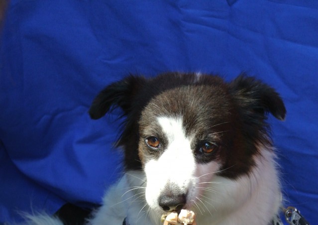 FAST GOOD…FAST HAPPINESS!